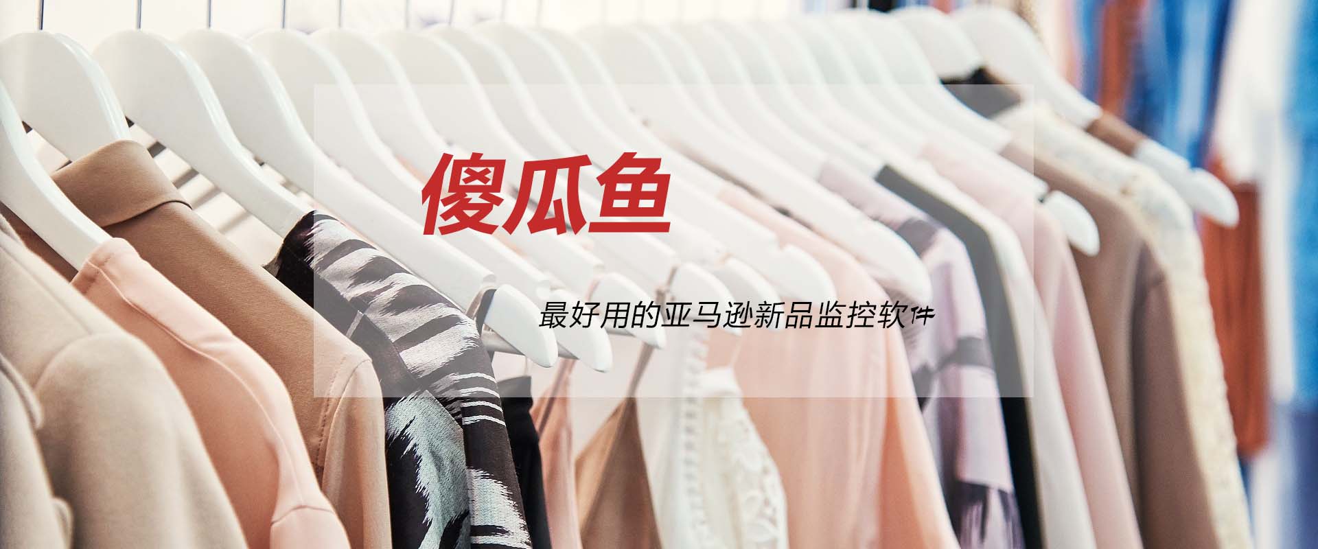 傻瓜鱼